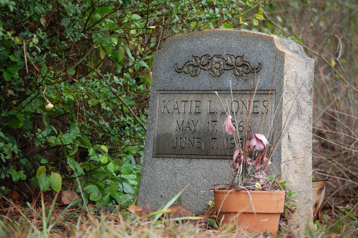 Katie L Jones