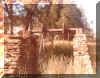 Ruins of Jennings Mill