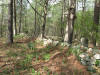 overview