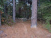 overview photo