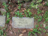 janie c walton ts