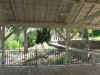 savannah10.jpg.JPG (2639911 bytes)