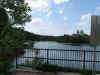savannah19.jpg.JPG (2186635 bytes)