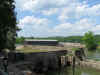 savannah5.jpg.JPG (2052153 bytes)