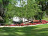 savannah6.jpg.JPG (4167344 bytes)