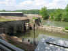 savannah7.jpg.JPG (2333289 bytes)