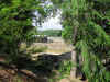 savannah9.jpg.JPG (3861101 bytes)