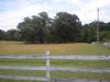 adams cemetery