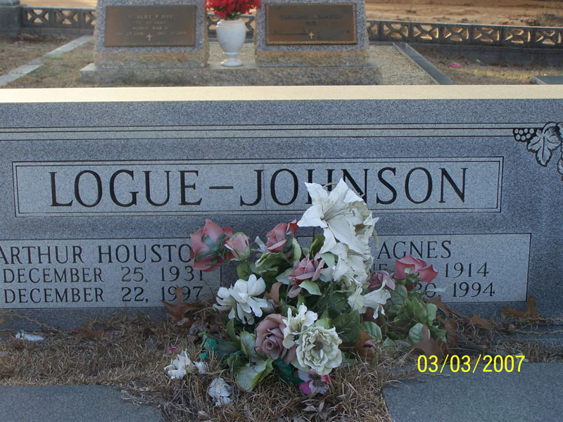 Arthur Houston & Agnes Logue - Johnson