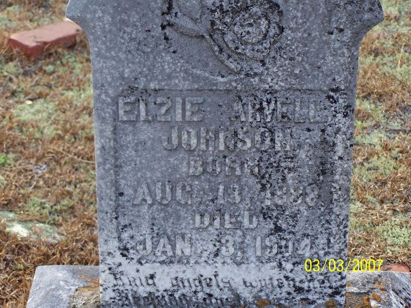 Elzie Arvell Johnson