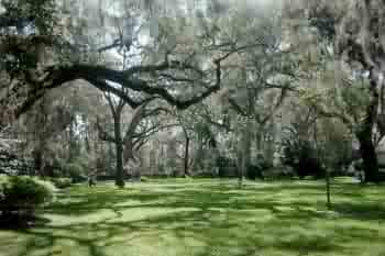 Grounds at Christ Episcopal Church