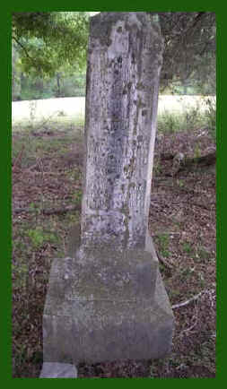 wpe21E.jpg (21457 bytes)