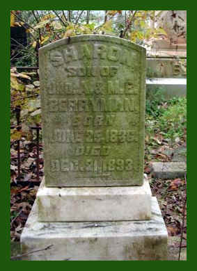 wpe211.jpg (18154 bytes)
