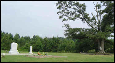 wpe1AC.jpg (84532 bytes)