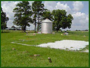 wpe20A.jpg (175677 bytes)