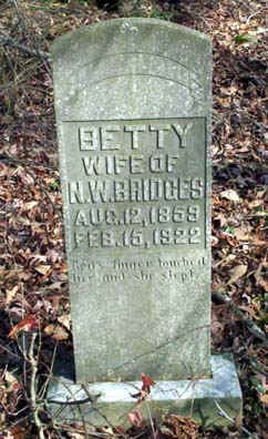 wpe54.jpg (21330 bytes)