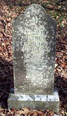 wpe58.jpg (19639 bytes)