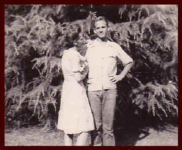 wpeD7.jpg (22178 bytes)