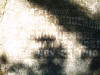 ts