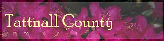Tattnall County GA Genealogy