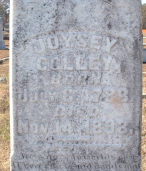 Joysey Colley
