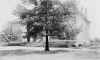 mcphaulinst.jpg (70908 bytes)